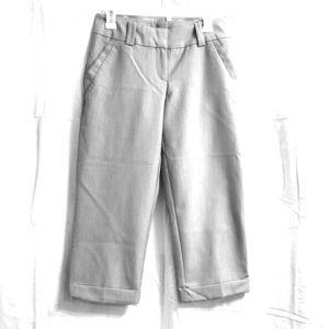 Gray ankle-length dress pants
